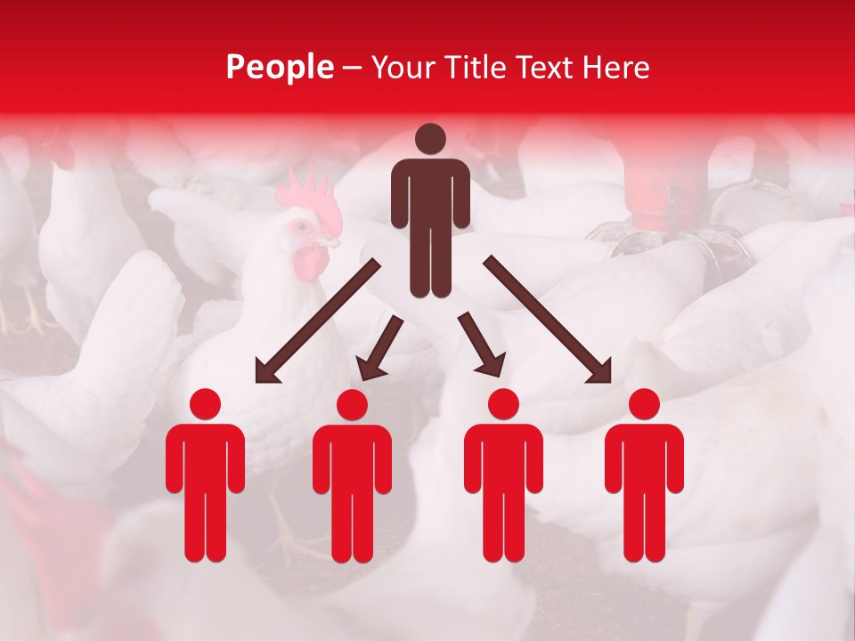 Agriculture Rural Country PowerPoint Template