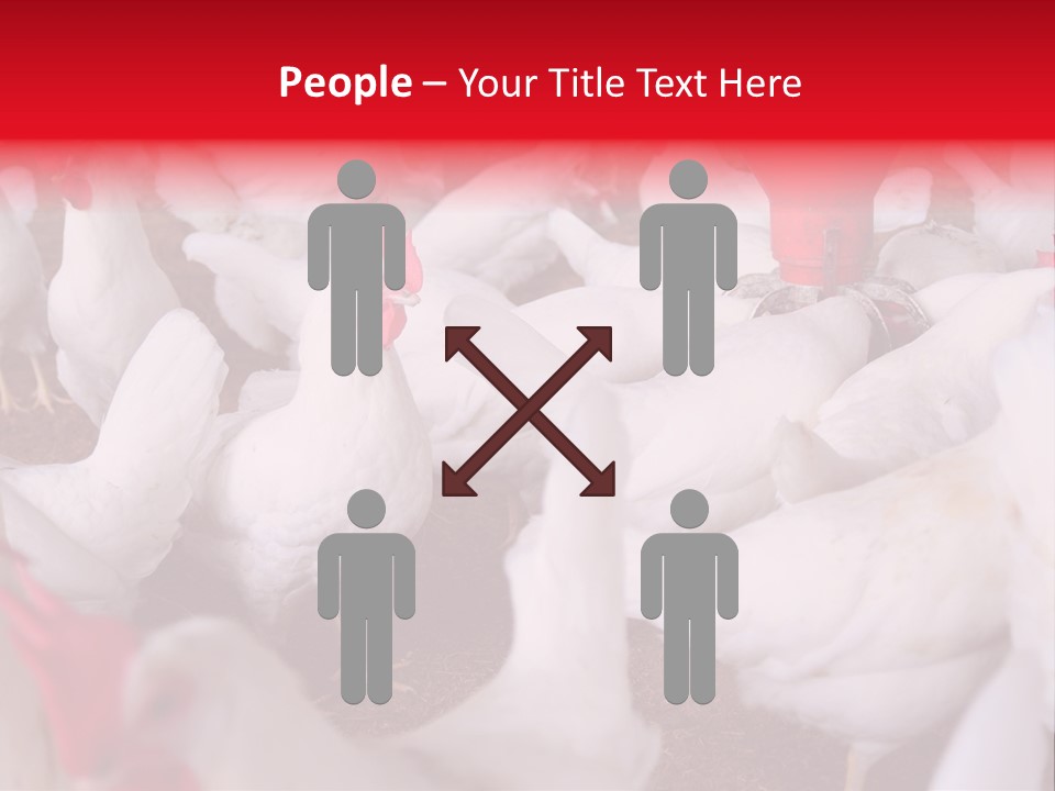 Agriculture Rural Country PowerPoint Template