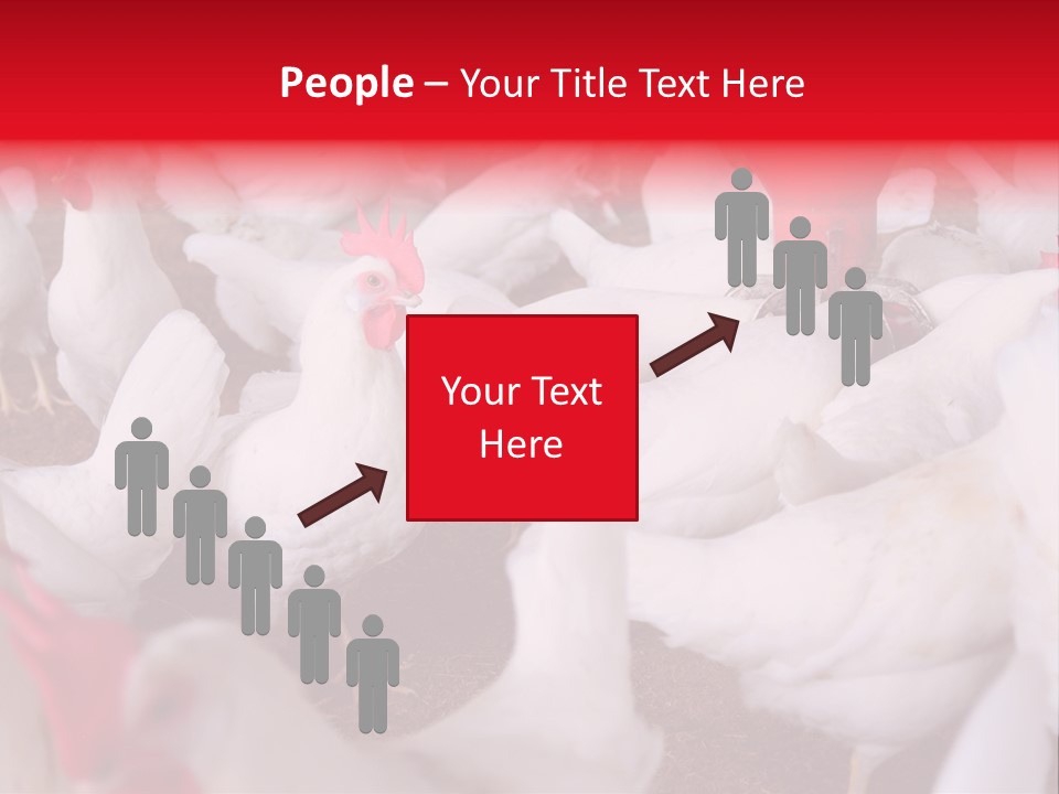 Agriculture Rural Country PowerPoint Template