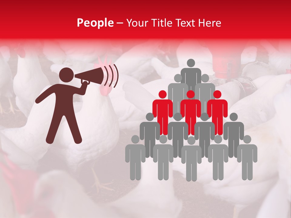 Agriculture Rural Country PowerPoint Template