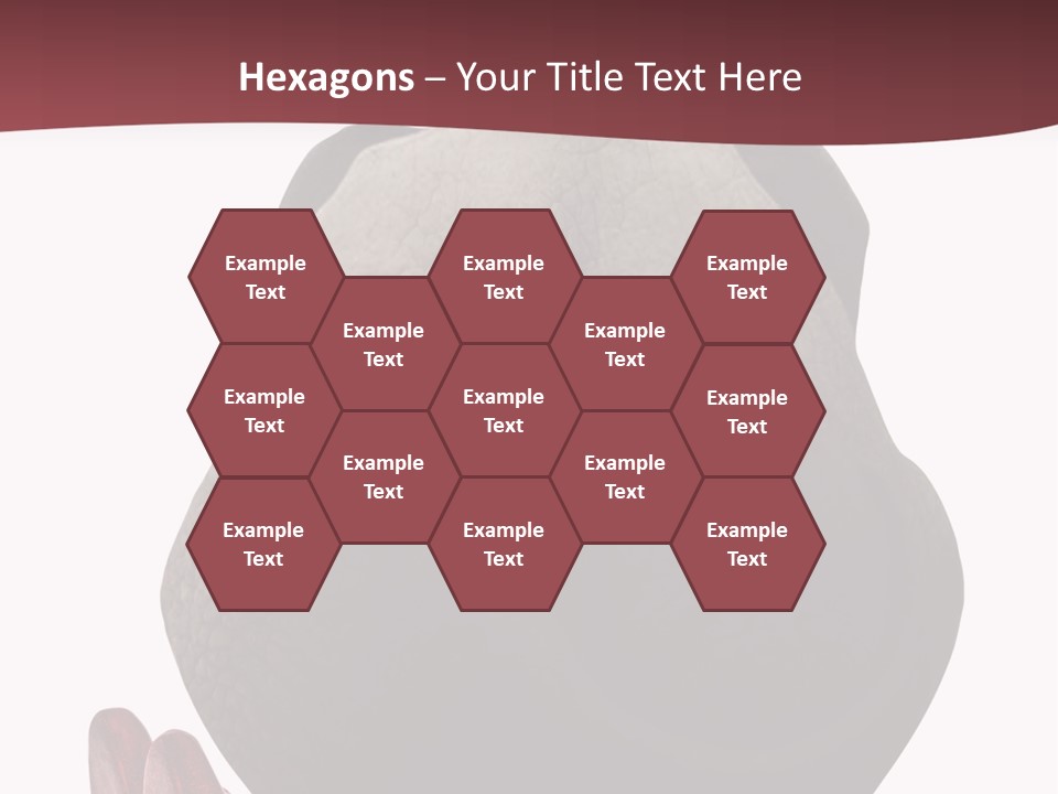 Concept Legs Back PowerPoint Template