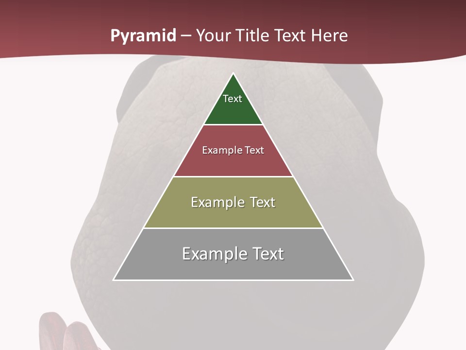 Concept Legs Back PowerPoint Template