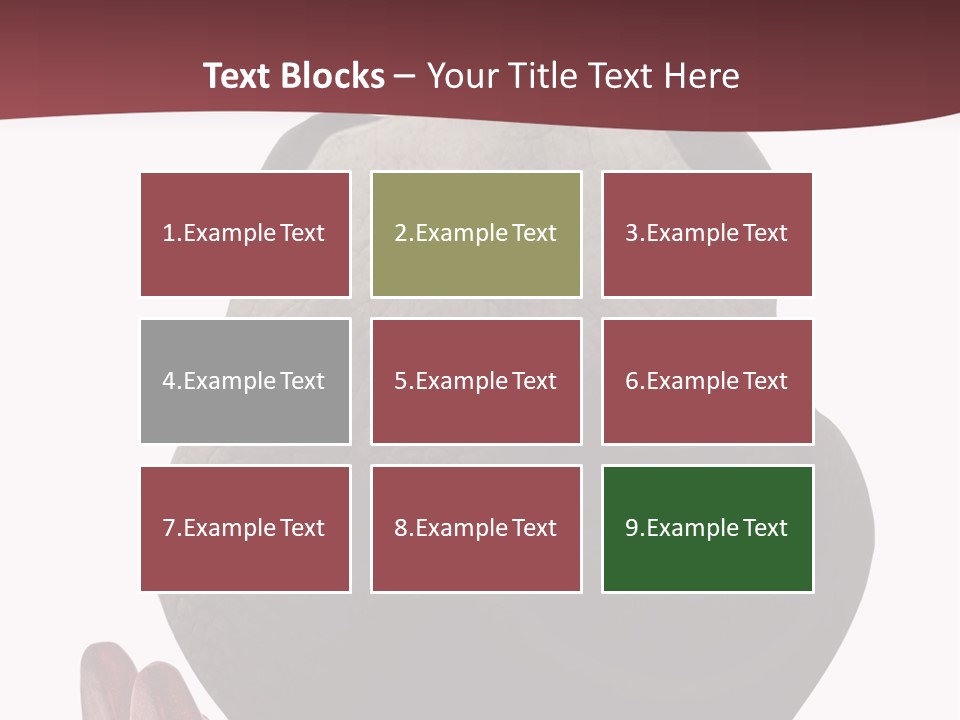 Concept Legs Back PowerPoint Template