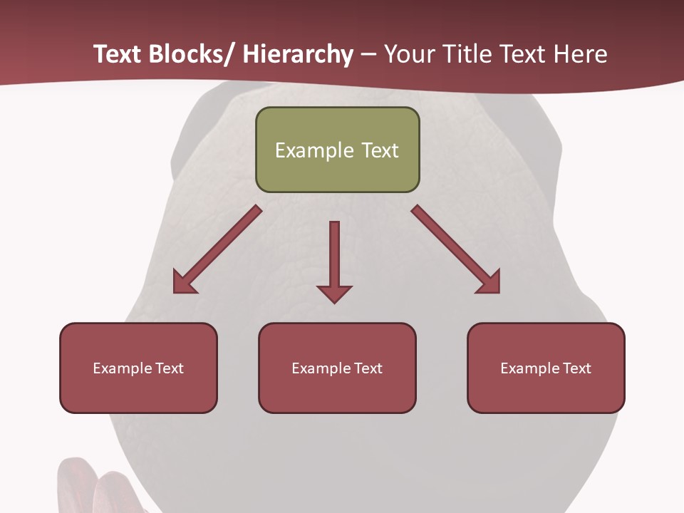 Concept Legs Back PowerPoint Template