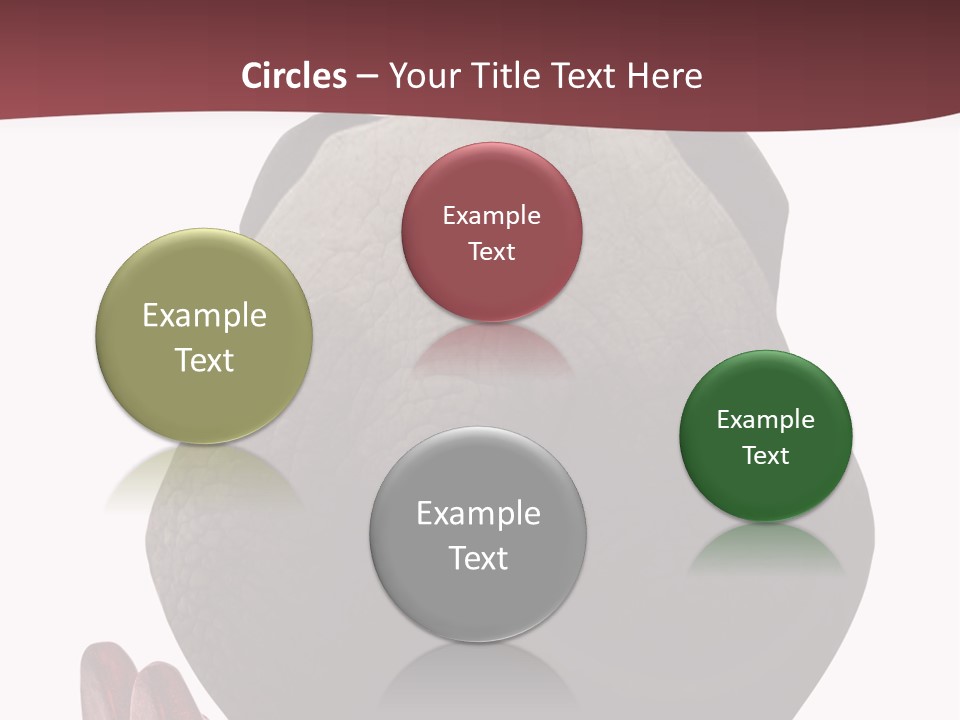 Concept Legs Back PowerPoint Template