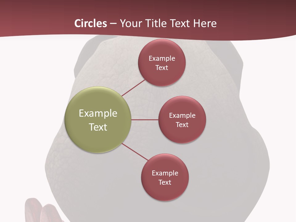 Concept Legs Back PowerPoint Template