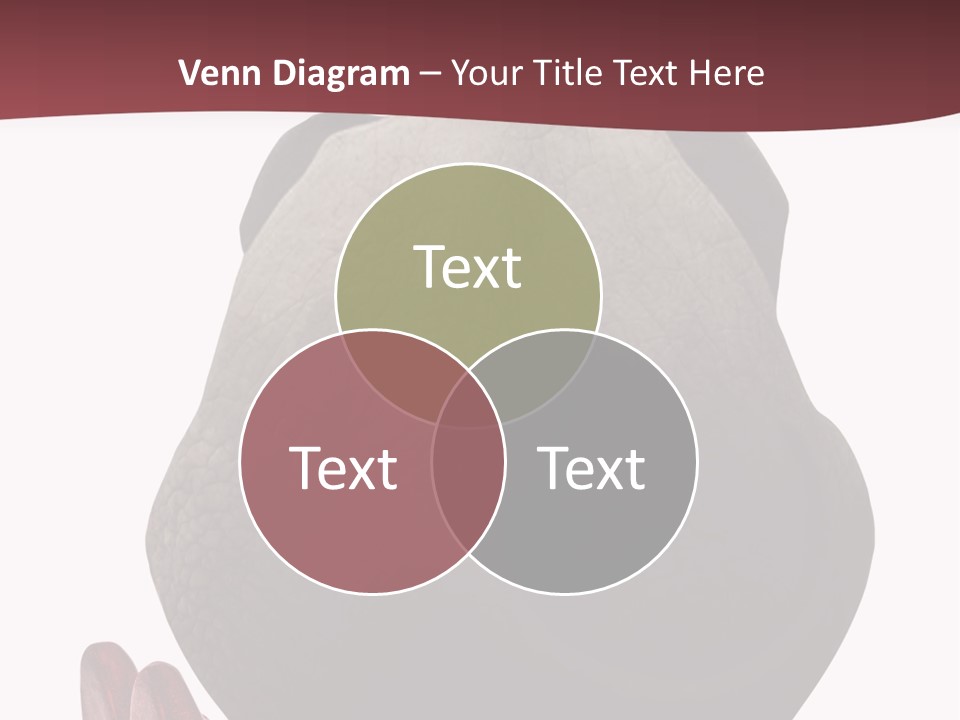 Concept Legs Back PowerPoint Template