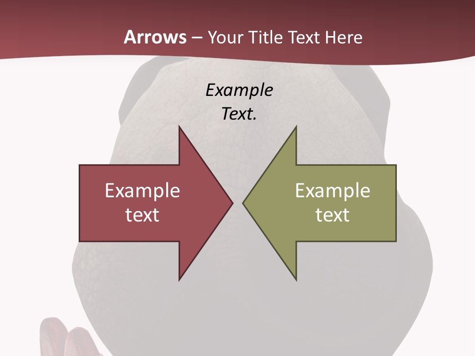 Concept Legs Back PowerPoint Template