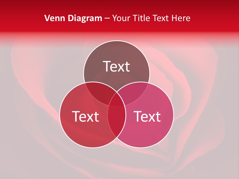 Valentine Curl Design PowerPoint Template