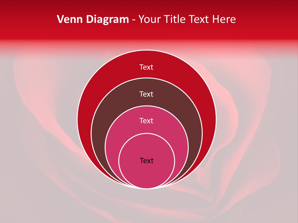 Valentine Curl Design PowerPoint Template