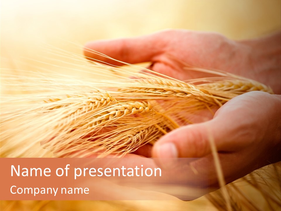 Hands Meal Taking PowerPoint Template