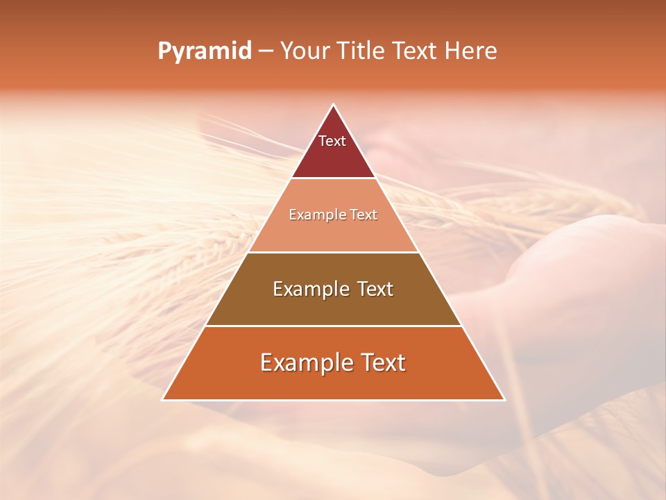 Hands Meal Taking PowerPoint Template