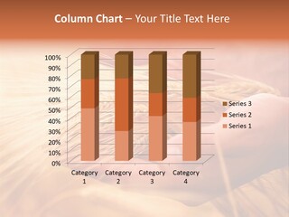 Hands Meal Taking PowerPoint Template