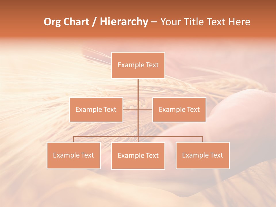 Hands Meal Taking PowerPoint Template