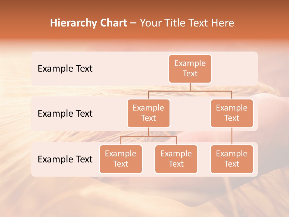 Hands Meal Taking PowerPoint Template