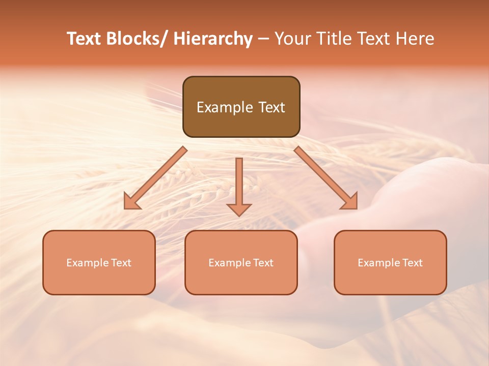 Hands Meal Taking PowerPoint Template