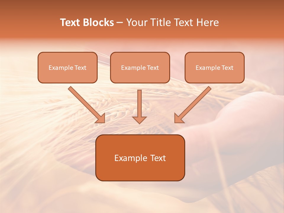 Hands Meal Taking PowerPoint Template
