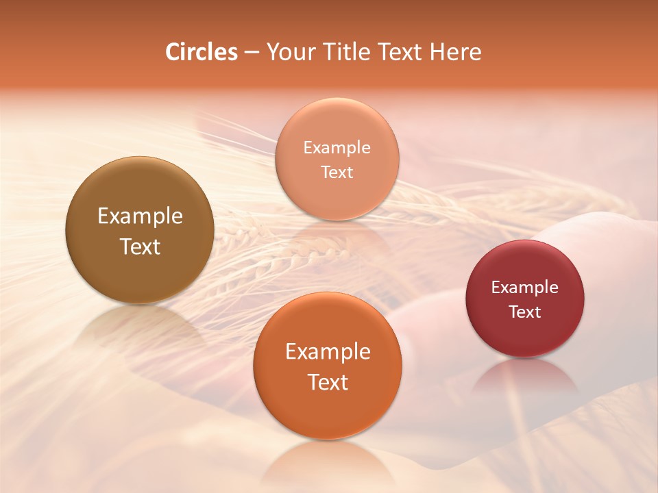 Hands Meal Taking PowerPoint Template