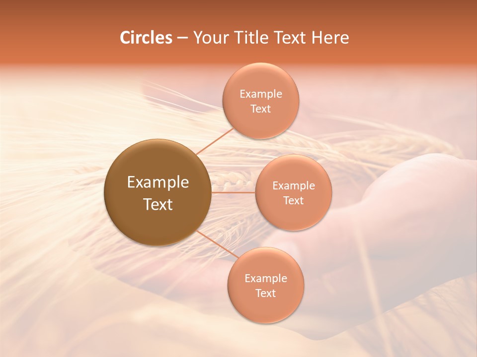 Hands Meal Taking PowerPoint Template