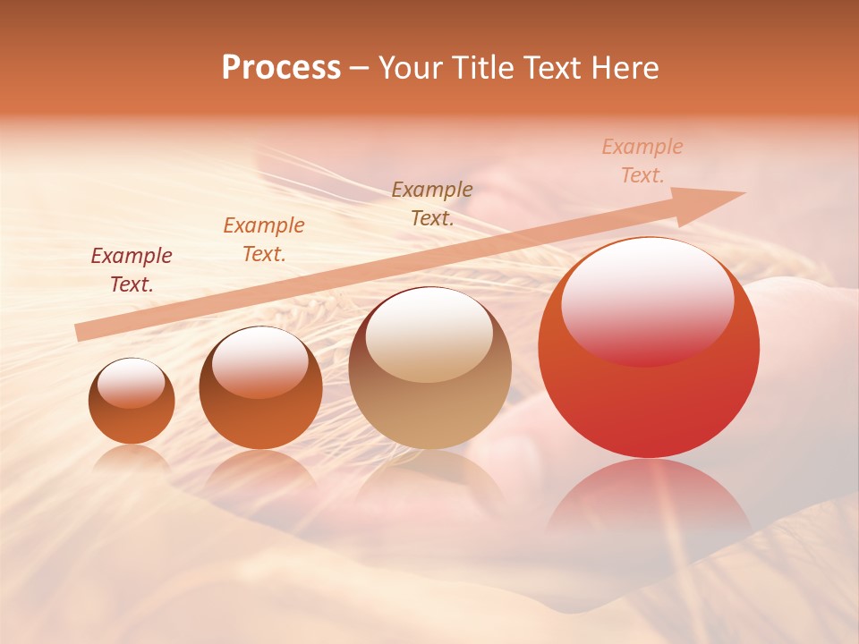 Hands Meal Taking PowerPoint Template