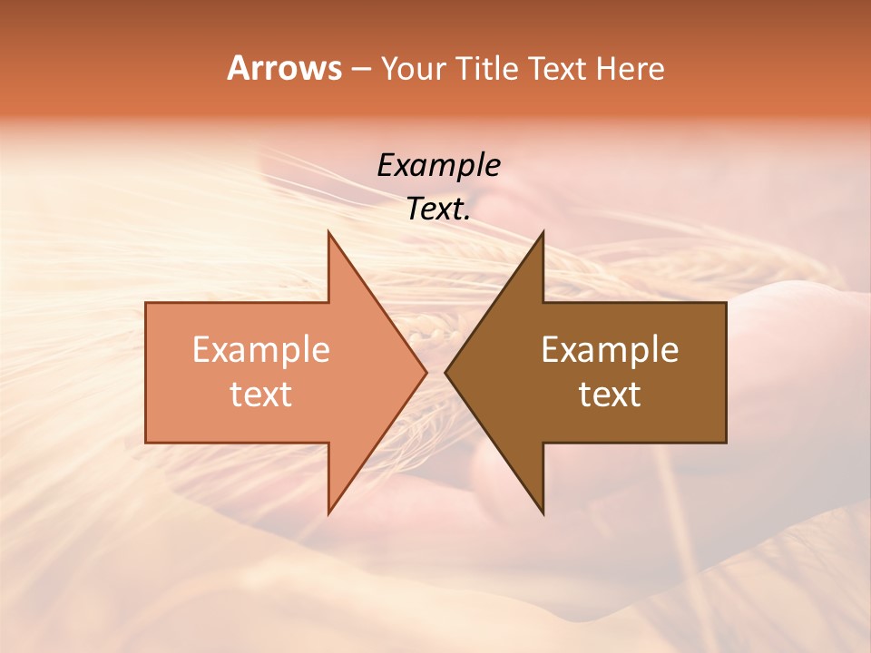 Hands Meal Taking PowerPoint Template