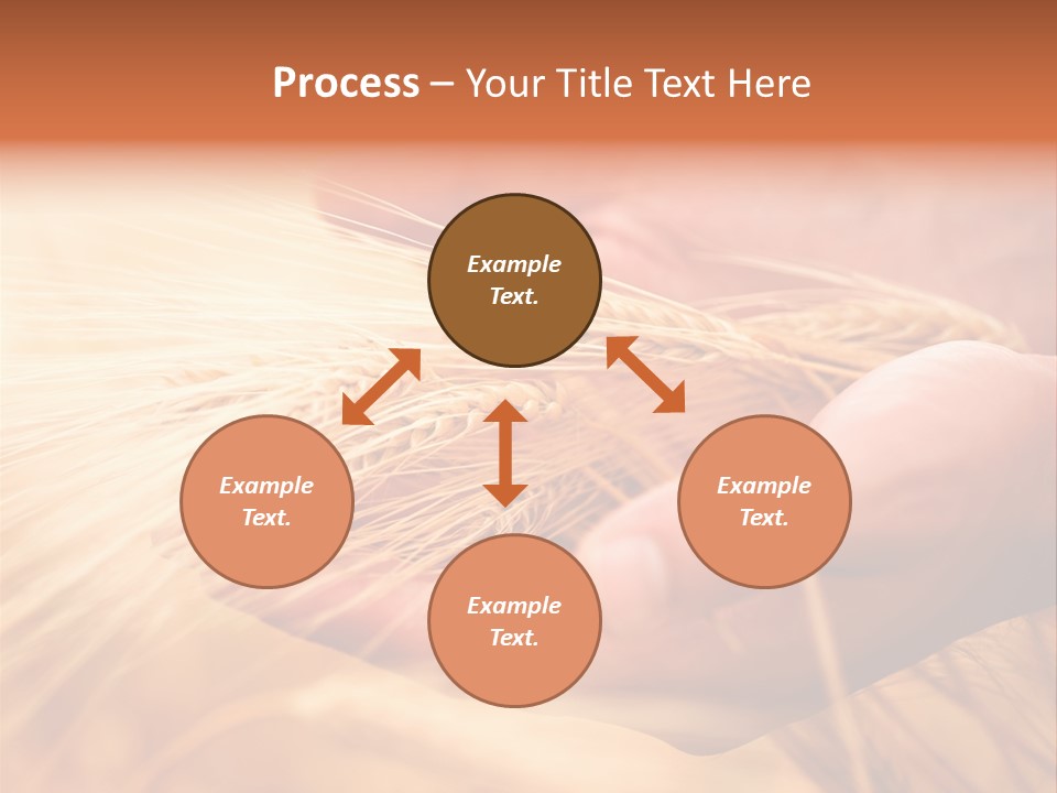 Hands Meal Taking PowerPoint Template