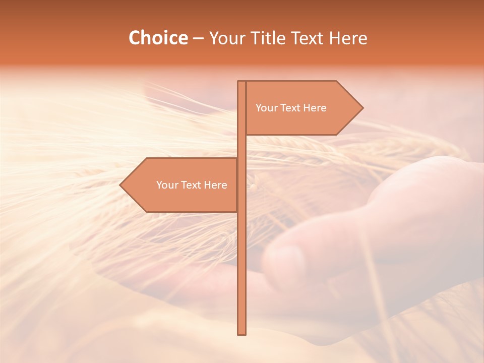 Hands Meal Taking PowerPoint Template