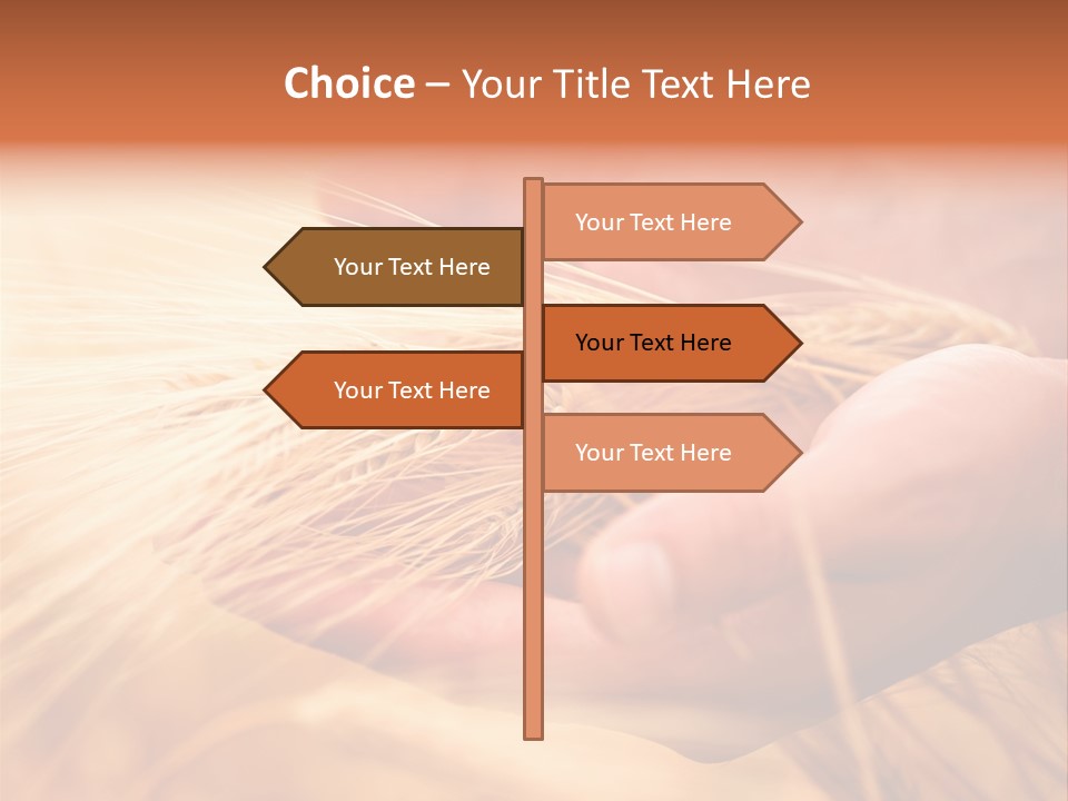 Hands Meal Taking PowerPoint Template