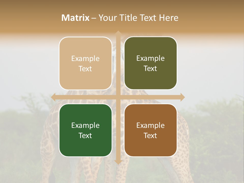 Cute Face Giraffa PowerPoint Template