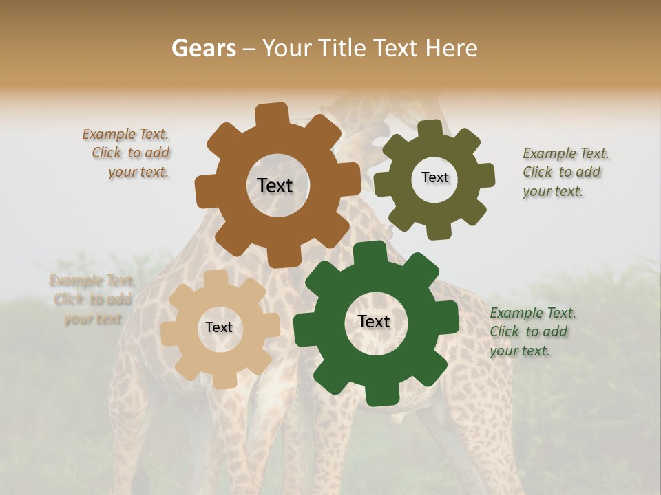 Cute Face Giraffa PowerPoint Template