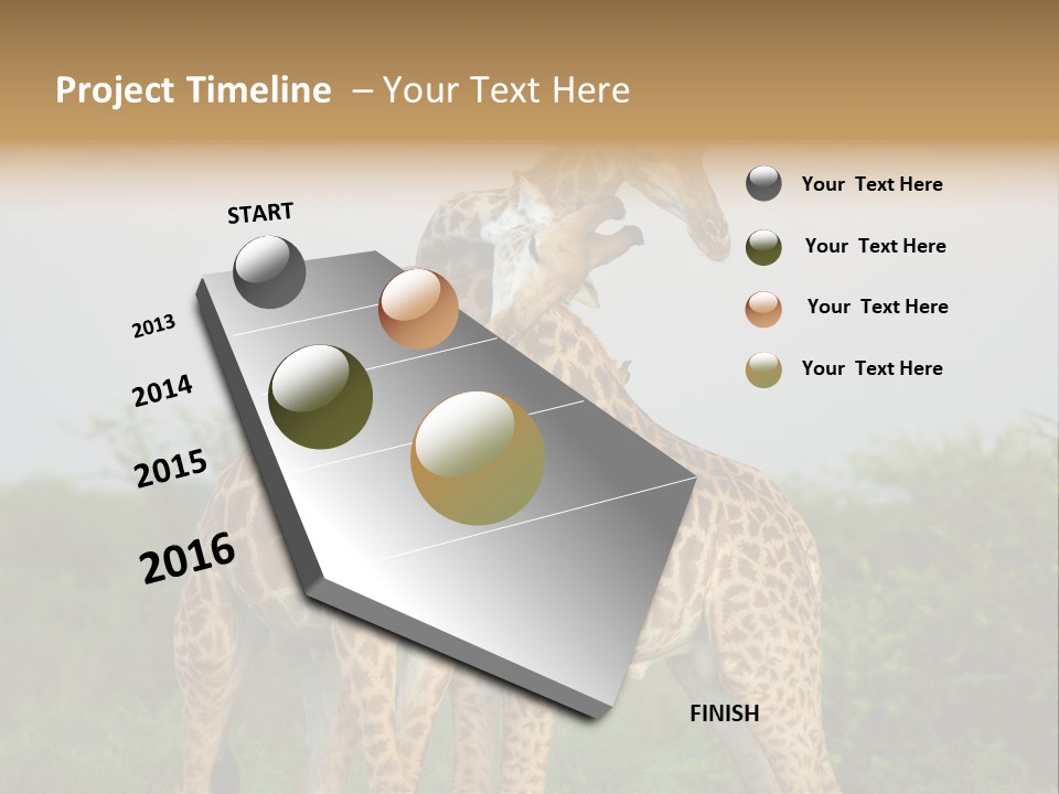 Cute Face Giraffa PowerPoint Template