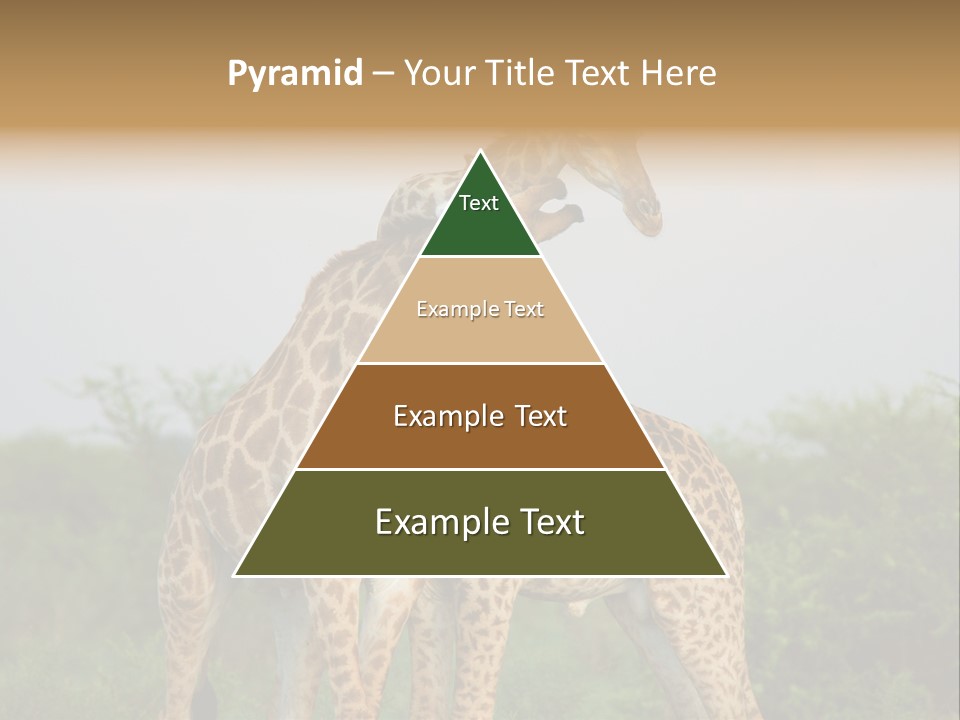 Cute Face Giraffa PowerPoint Template