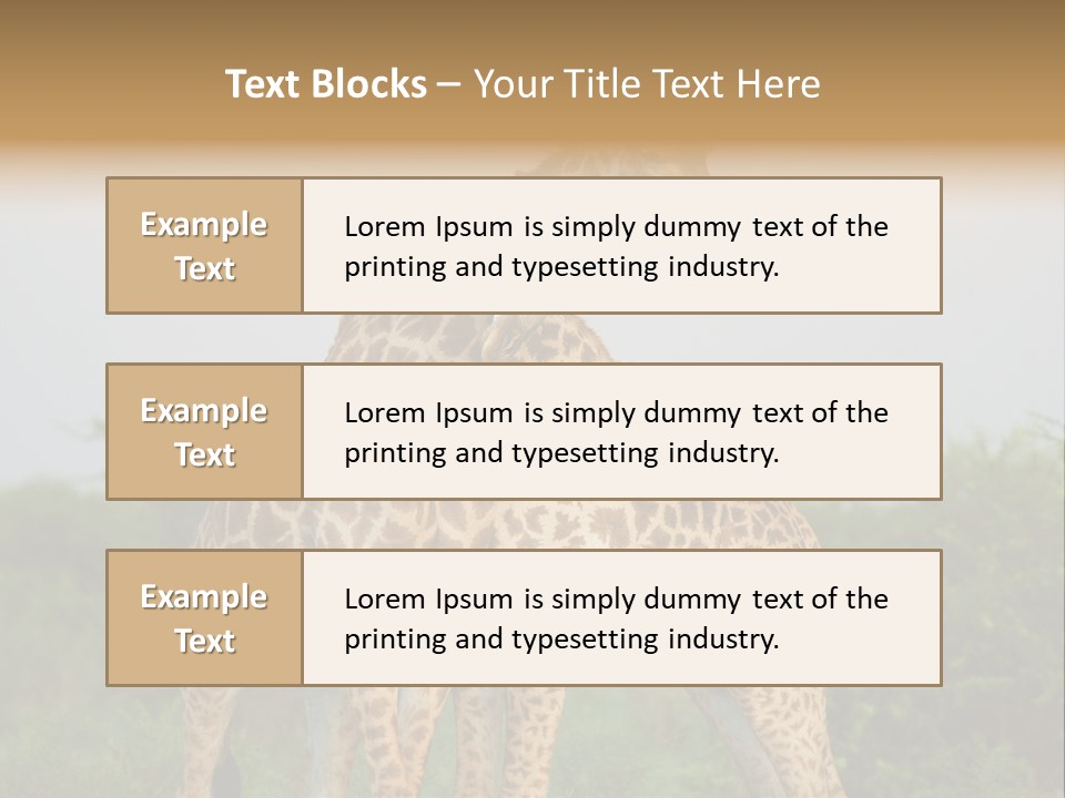 Cute Face Giraffa PowerPoint Template