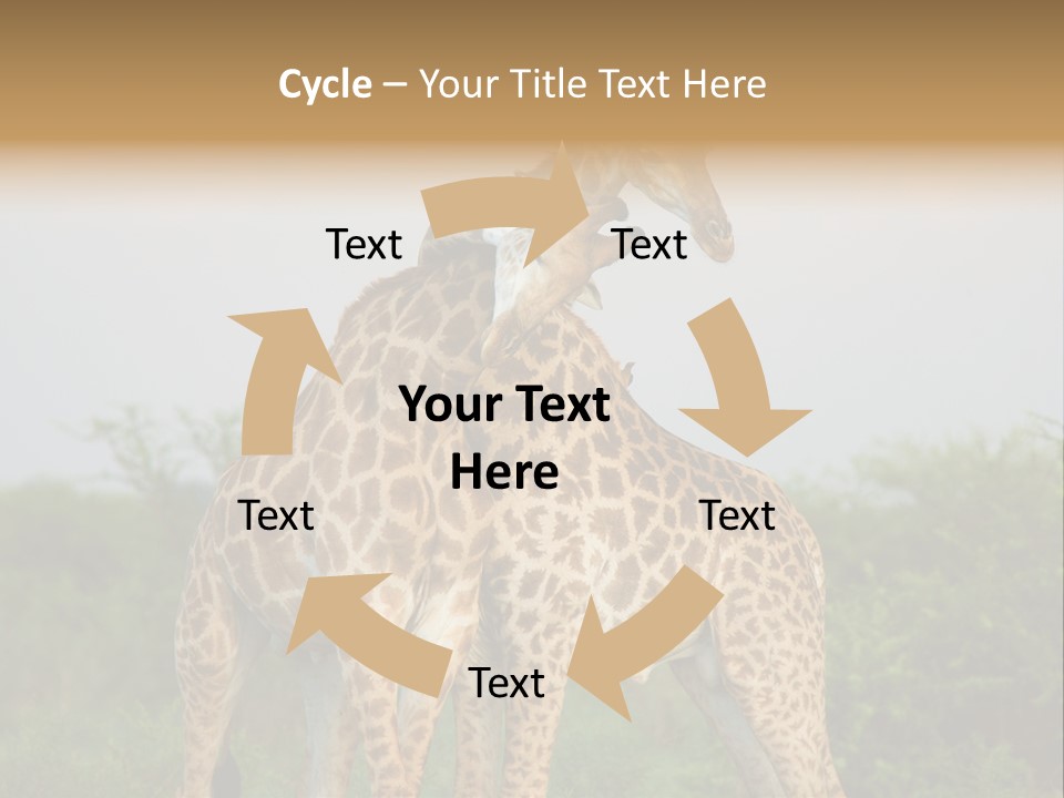 Cute Face Giraffa PowerPoint Template