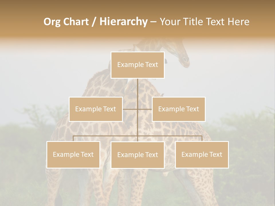 Cute Face Giraffa PowerPoint Template