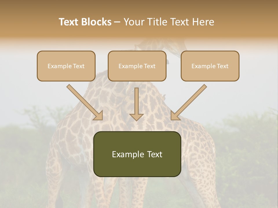 Cute Face Giraffa PowerPoint Template