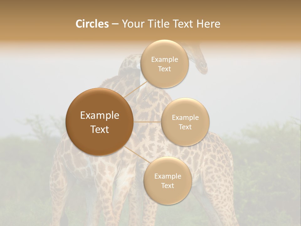 Cute Face Giraffa PowerPoint Template