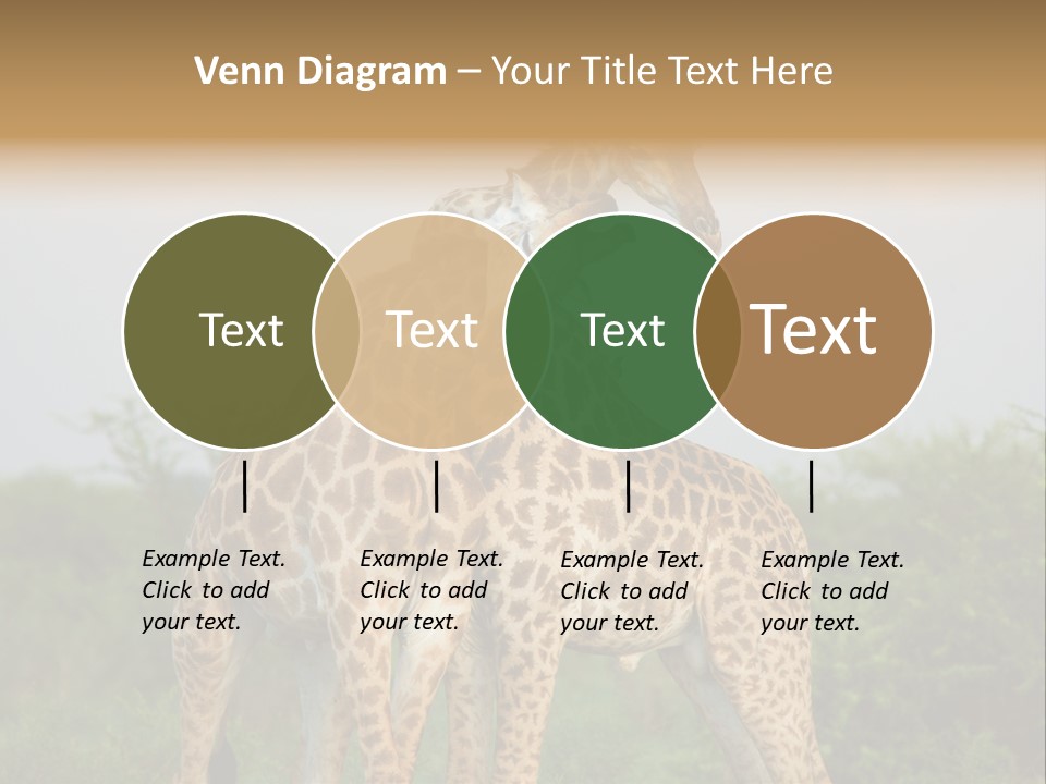 Cute Face Giraffa PowerPoint Template