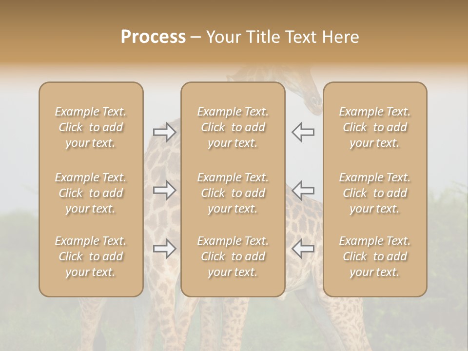 Cute Face Giraffa PowerPoint Template