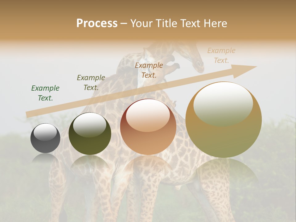 Cute Face Giraffa PowerPoint Template