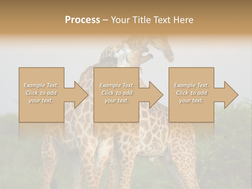 Cute Face Giraffa PowerPoint Template
