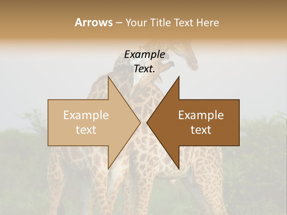 Cute Face Giraffa PowerPoint Template