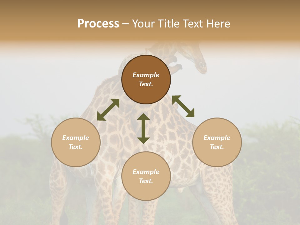 Cute Face Giraffa PowerPoint Template