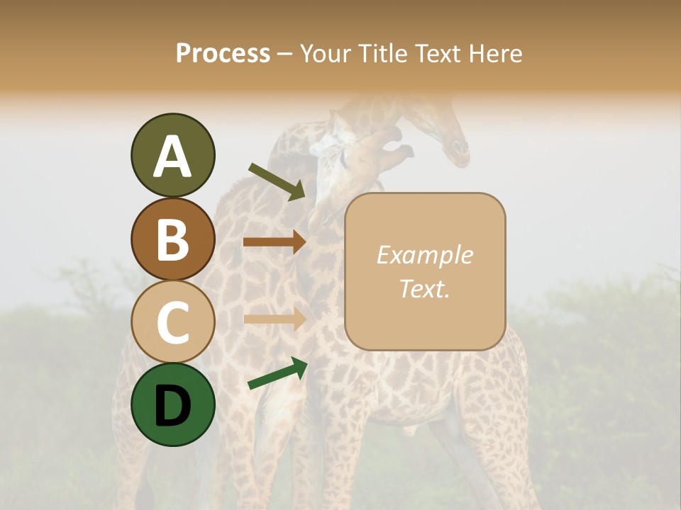 Cute Face Giraffa PowerPoint Template