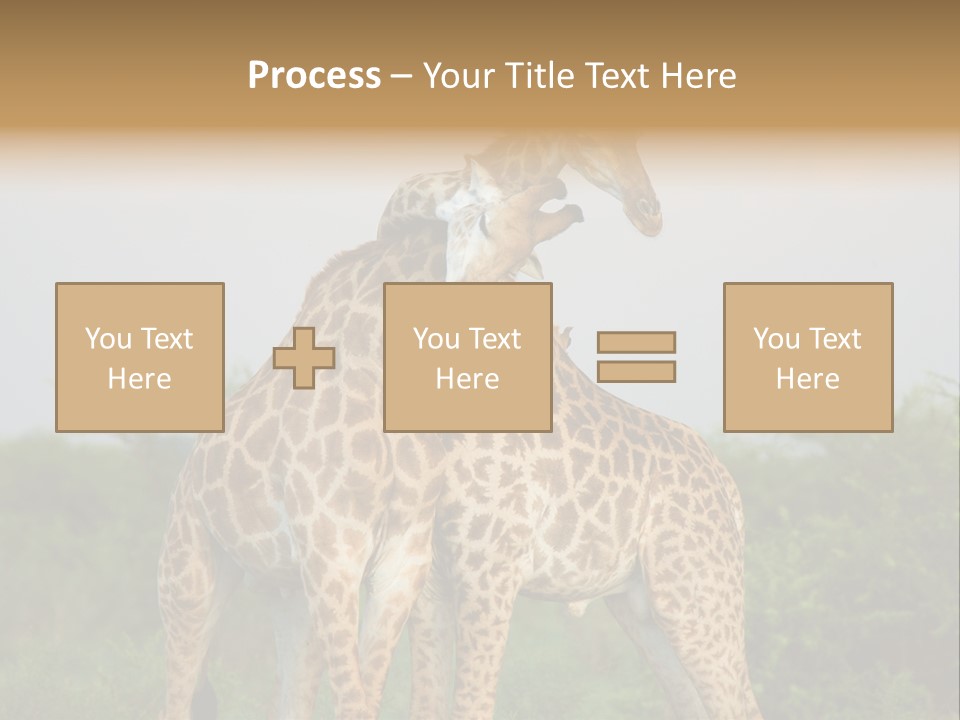Cute Face Giraffa PowerPoint Template
