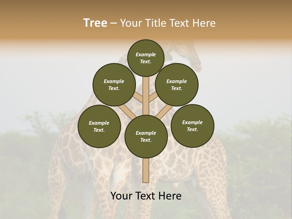 Cute Face Giraffa PowerPoint Template