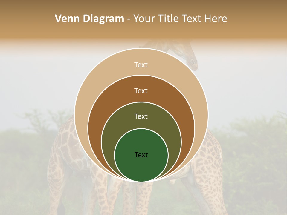 Cute Face Giraffa PowerPoint Template