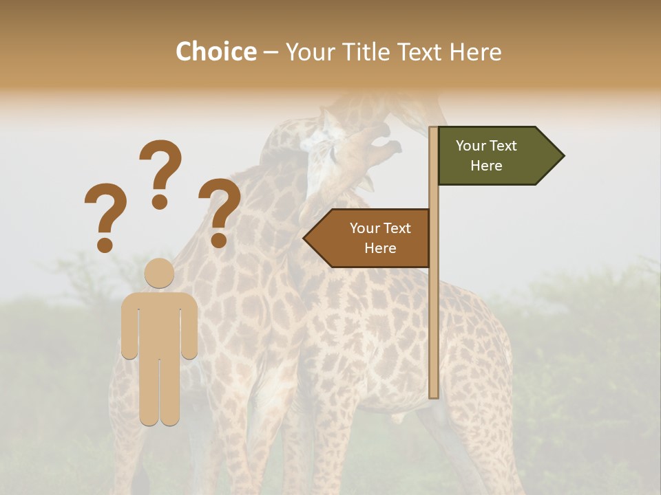 Cute Face Giraffa PowerPoint Template