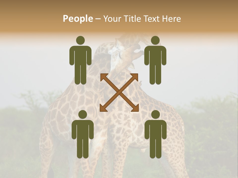 Cute Face Giraffa PowerPoint Template
