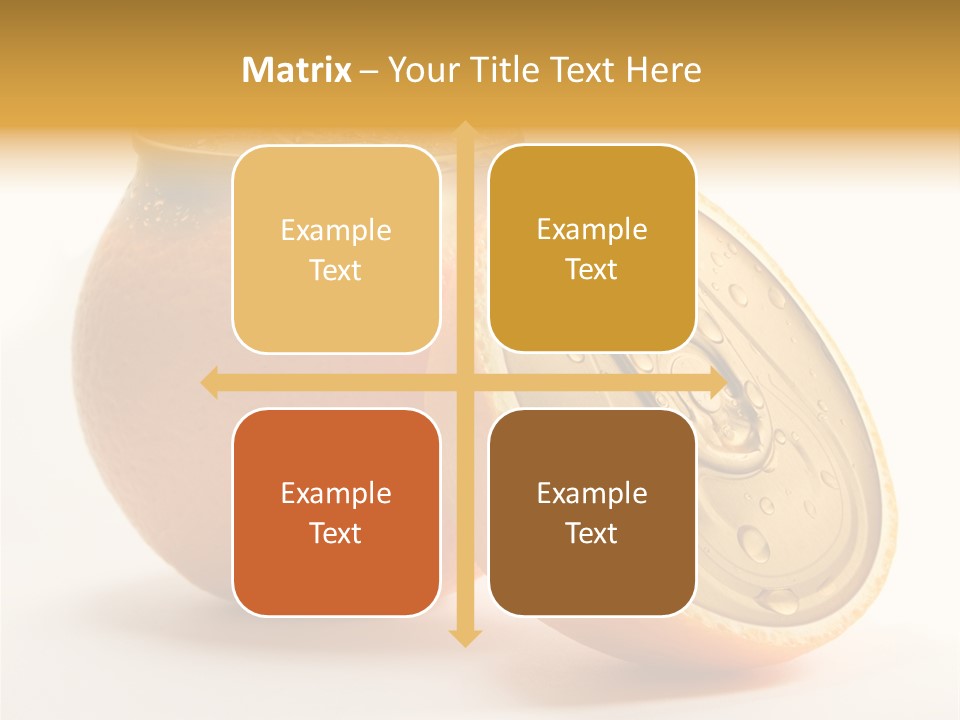 Wet Still Life Part PowerPoint Template
